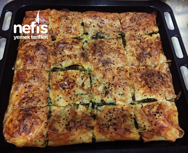 Ispanaklı Pırasalı Börek (Hazır Yufkadan) Nefis Yemek Tarifleri