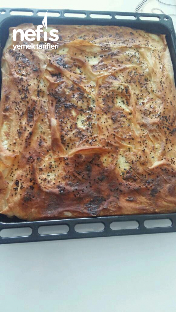 Pırasalı Havuçlu Börek