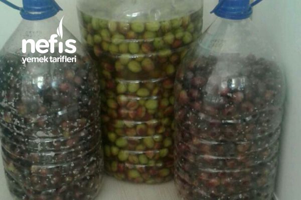 nefis yemek tarifleri