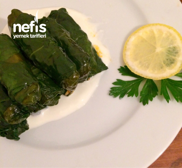 Nefis Pazı Sarması