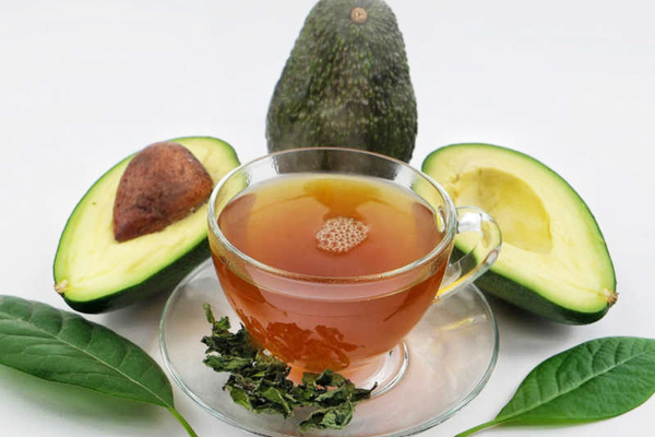 avokado yaprağı çayı nasıl yapılır