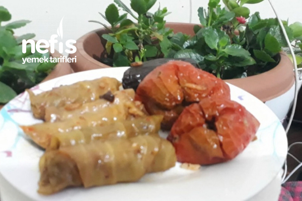 Ekşili Sumaklı Karışık Dolma