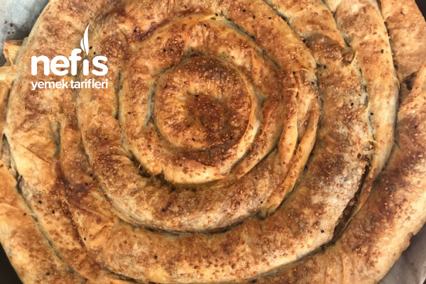 Yeşil Mercimekli Haşhaşlı Dolama Börek Nefis Yemek Tarifleri