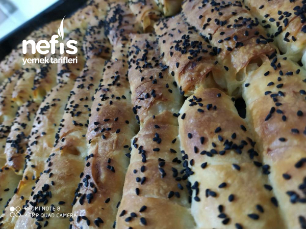 Cıtırrrr Nefis Börek