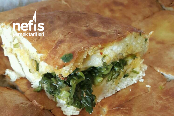 Ispanaklı Kömbe Börek Tarifi