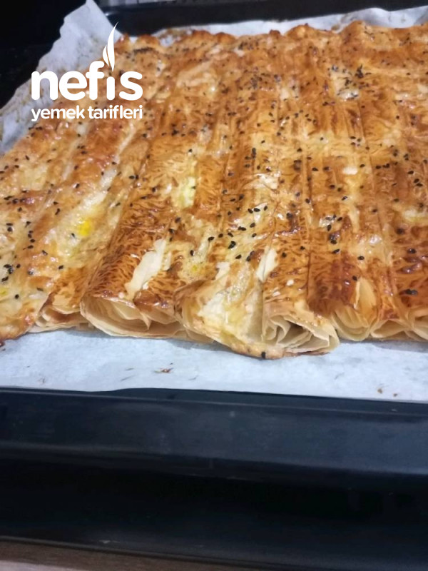 Börek (Baklavalık Yufkadan Pastane Böreği)