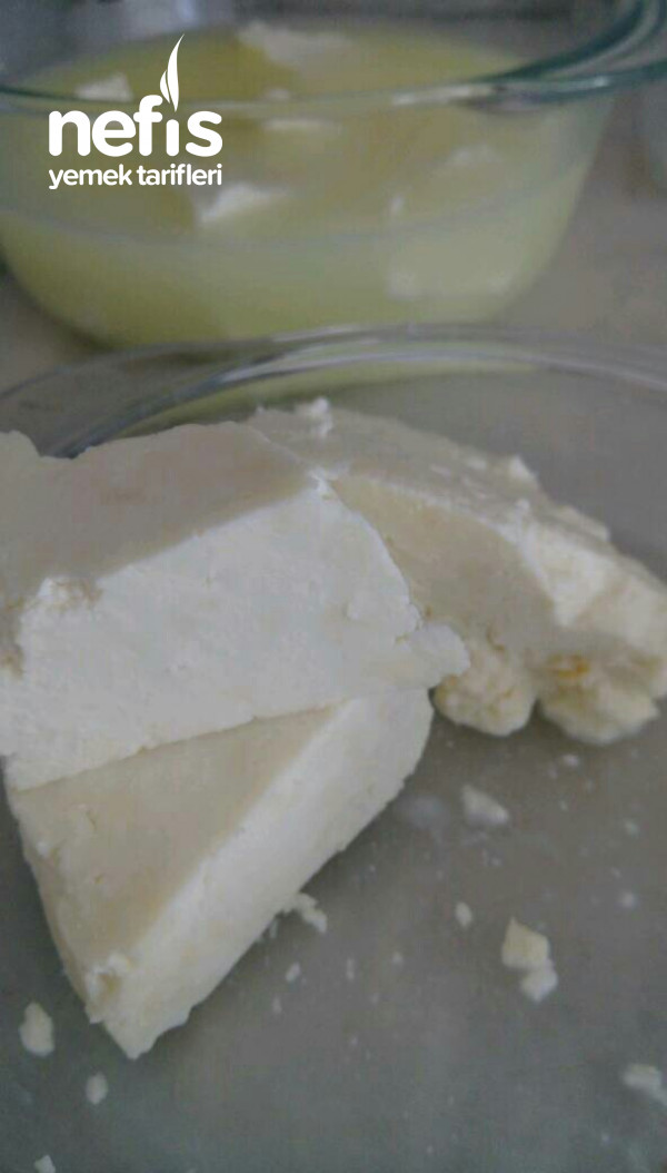 Enfesss Peynir Yapimi