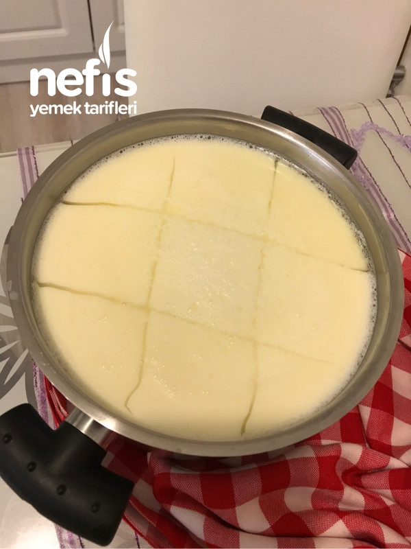 Evde Organik Peynir Yapımı