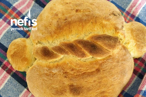 Yaş Mayalı Trabzon Ekmeği Tarifi