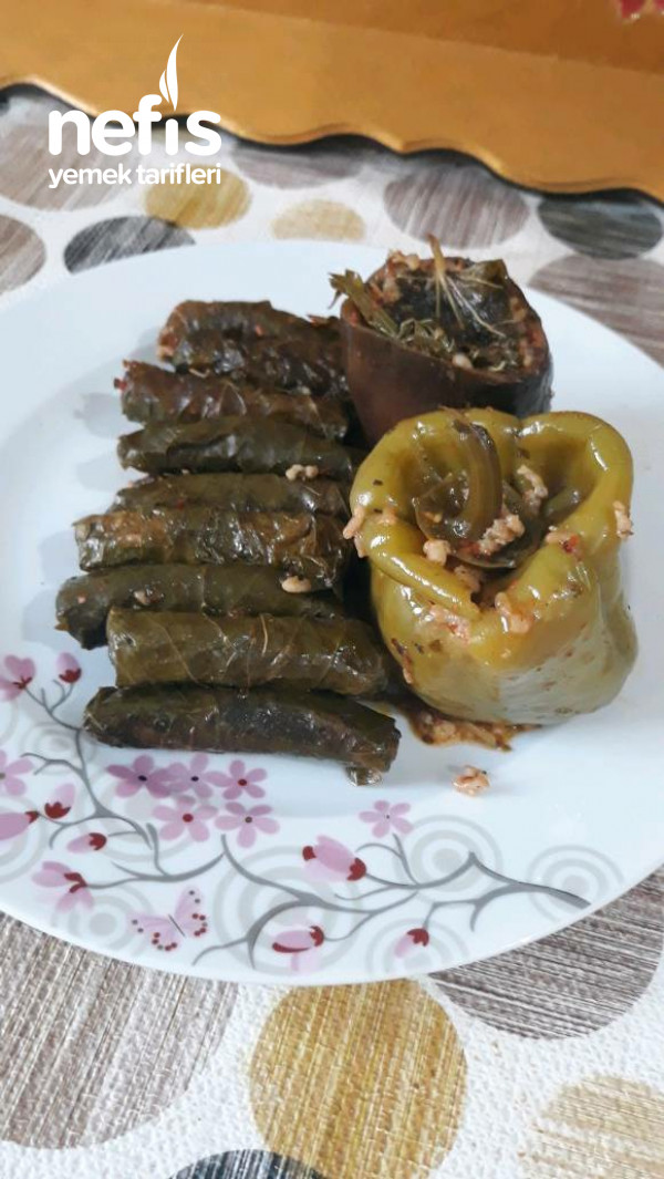 Zeytin Yağlı Yaprak Sarması Dolması