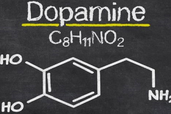 dopamin nedir