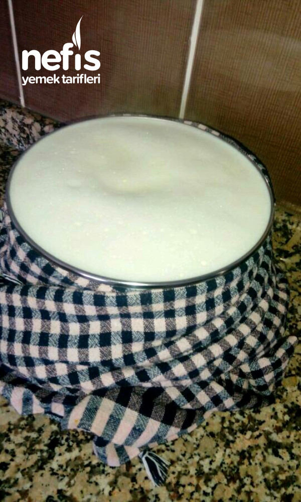 Evde Nefis Yogurt