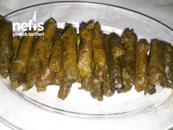 Zeytin Yağlı Dolma