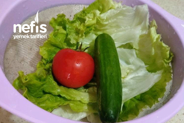 Kıvırcık Salatası