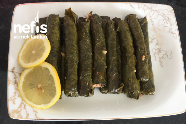 Zeytinyağlı Yaprak Sarma (Harika İç Harcıyla)