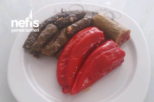 Karışık Dolma