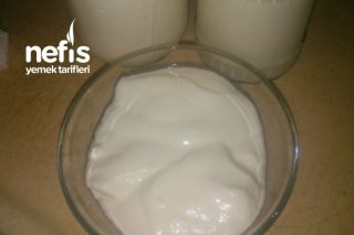 Günlük Süt İle Probiyotik Ev Yoğurdu Tarifi