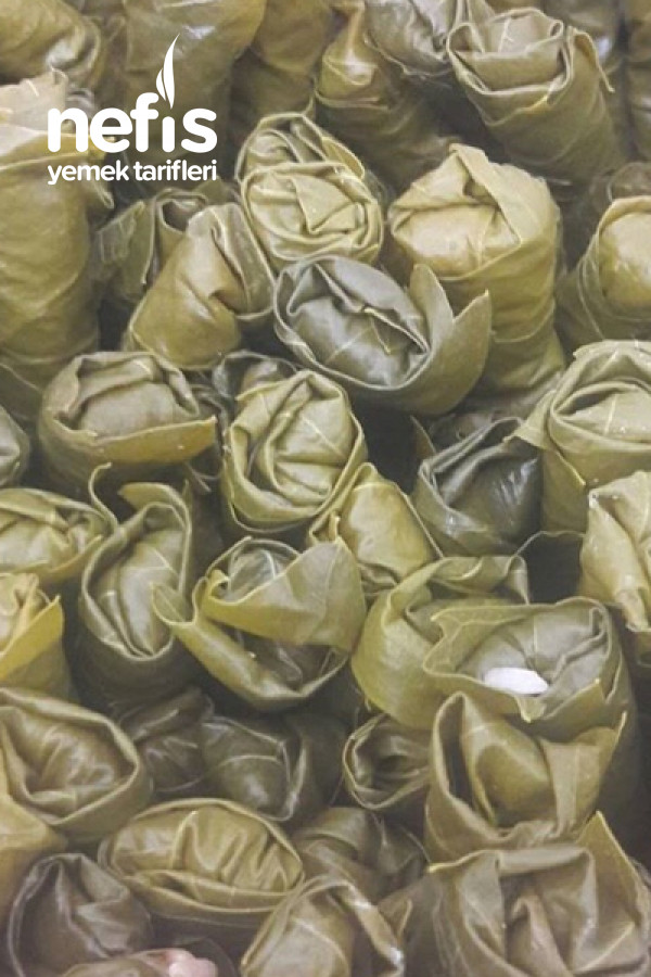 Zeytinyağlı Yaprak Sarma