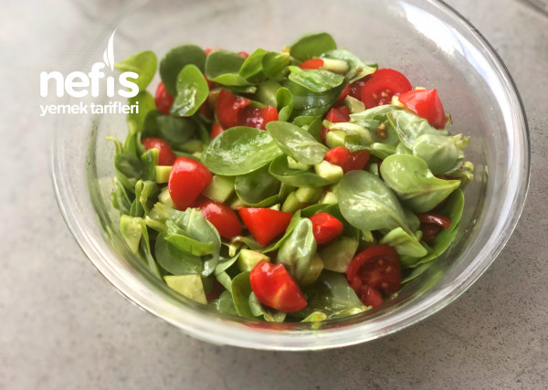Ferah & Leziz: Semizotu Salatası