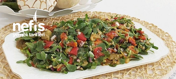 Muhteşem Köz Sebzeli Semizotu Salatası