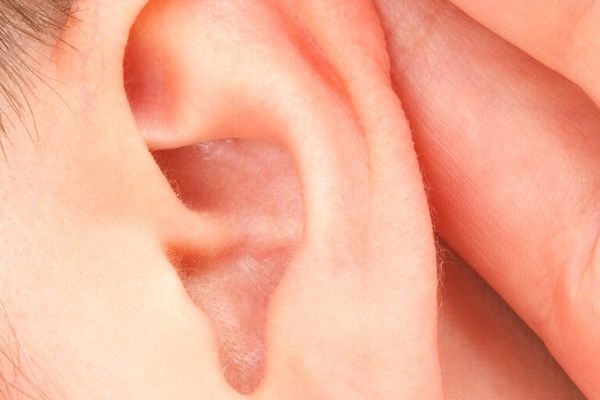 kulak zarı delinmesi bitkisel tedavi