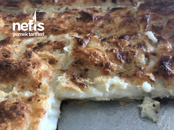 Nefis Köy Peynirli Börek