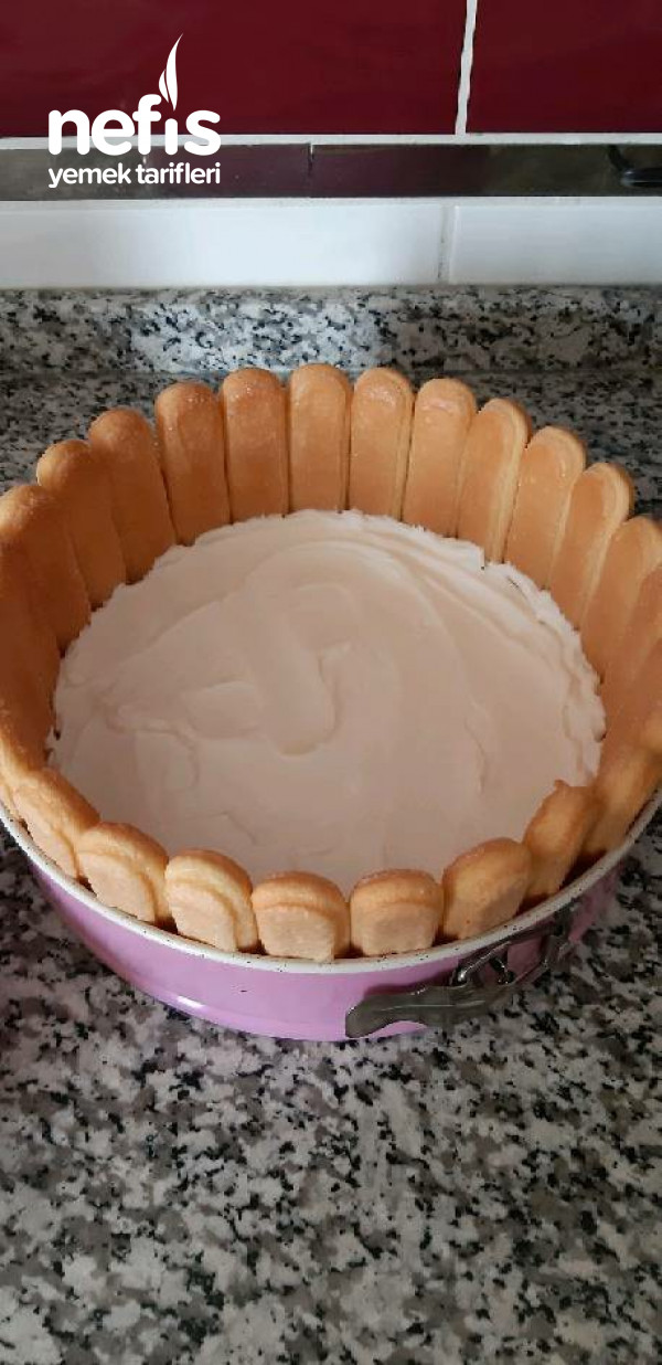 Kedidilli Yaz Pastası(pişirme Yok)