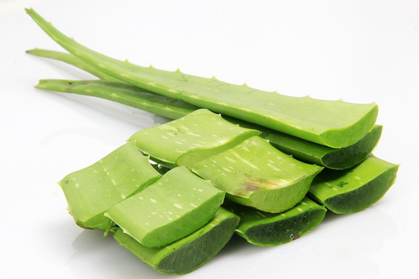 Aloe Veranin Az Bilinen 6 Zararli Etkisi Nefis Yemek Tarifleri