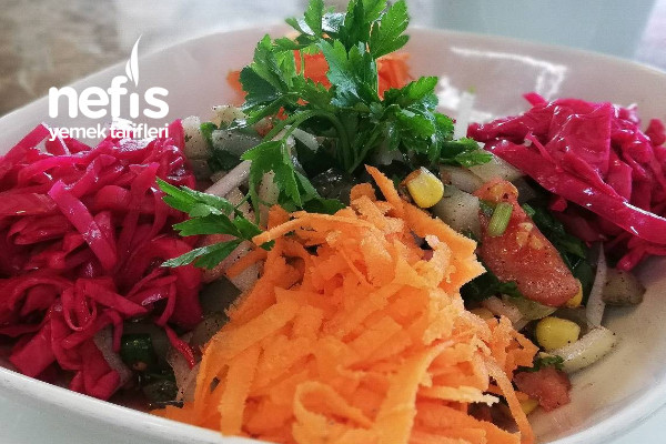 Turşulu Renkli Ege Salatası (Videolu)