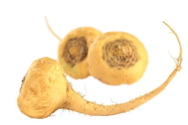Maca Turpu: Bağışıklık Güçlendiren Peru Ginsengi Tarifi Maca Turpu: Bağışıklık Güçlendiren Peru Ginsengi Tarifi