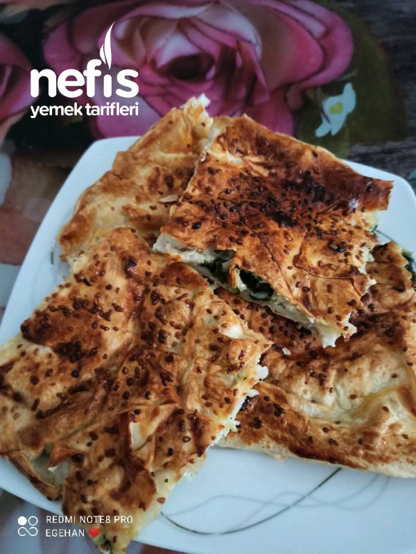 Tepside Basit Ispanaklı Börek