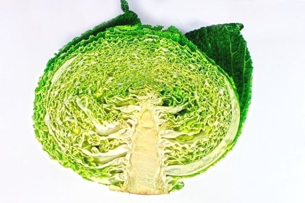 Kale Bitkisi: Bağışıklık Güçlendirici Kansersavar! Tarifi
