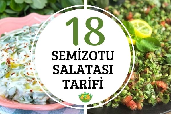 Semizotu Salataları: Değişik ve Pratik 18 Tarif Tarifi