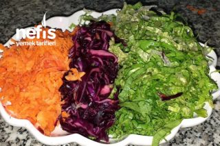 Kış Salatası (Domatessiz) Tarifi