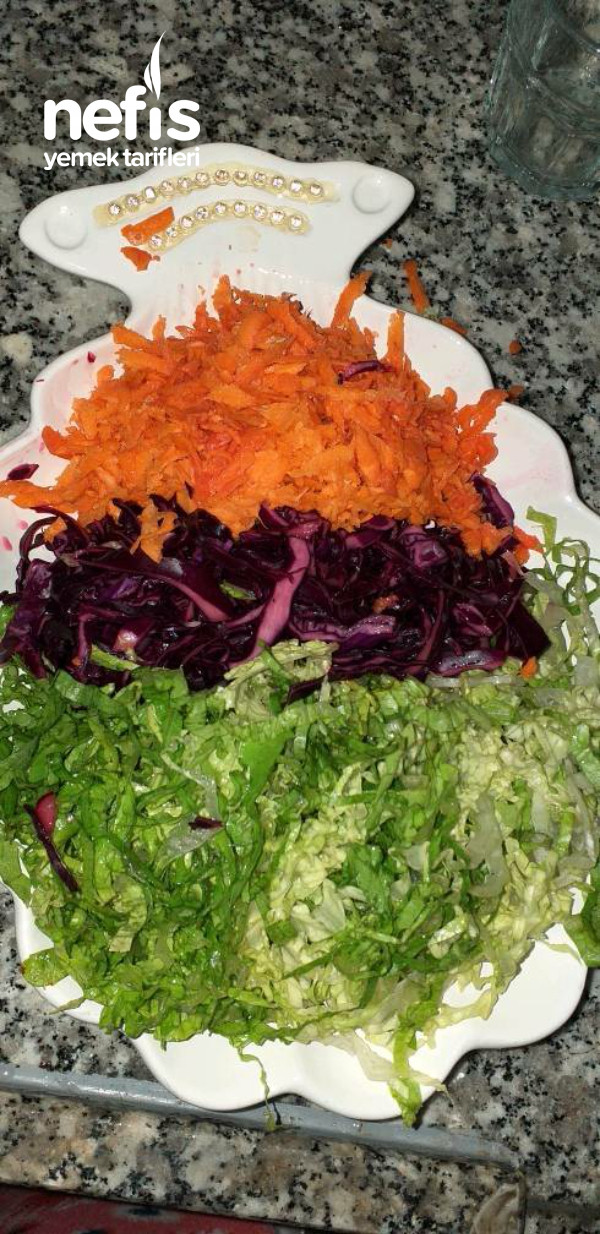 Kış Salatası (Domatessiz)
