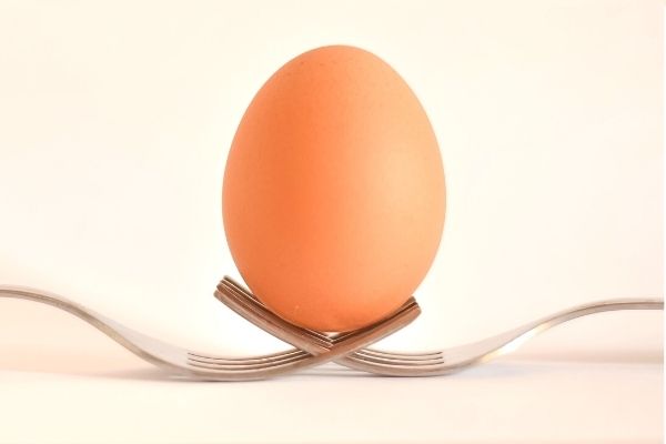 yumurta kodları ne anlama gelir