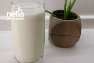 Ev Yapımı Kefir Tarifi