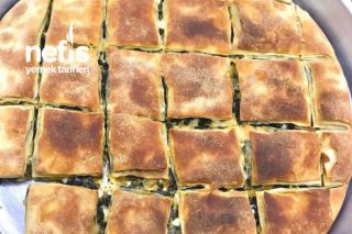 Antalya Usulü Ispanaklı Börek Tarifi