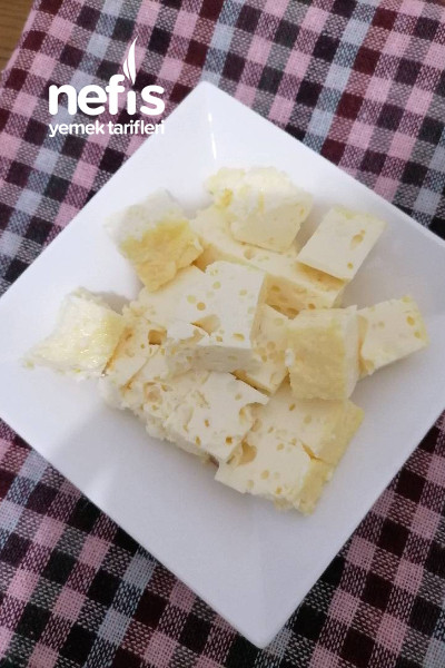 Ağız (Avuz- Kolostrum) Sütünden Peynir Yapımı