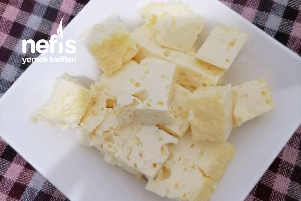 Ağız (Avuz- Kolostrum) Sütünden Peynir Yapımı Tarifi