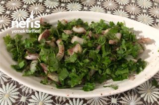 Maydanozlu Soğan Salatası Tarifi