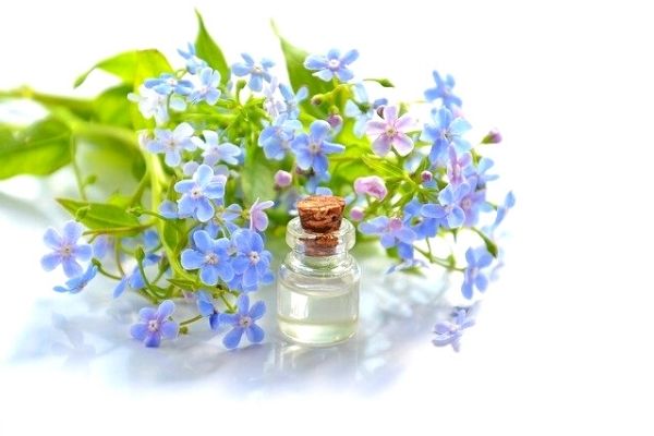 Mavi Anemon Çiçeği Yağı Faydaları, Kullanımı Tarifi