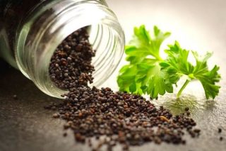 Tohum Nedir? Nasıl Çimlendirilir ve Ekilir? Tarifi