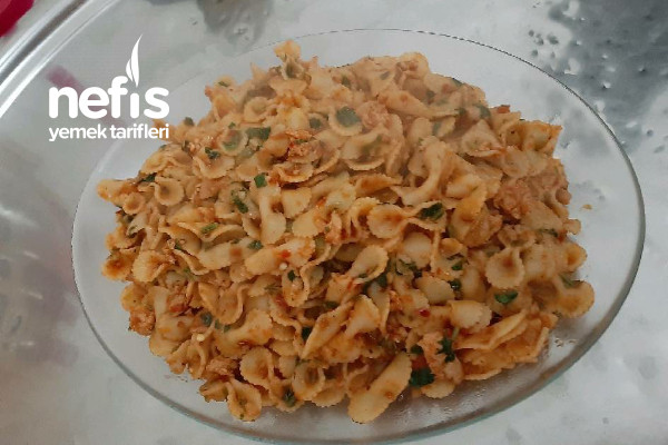 cok-ama-cok-lezzetli-tavuk-kiymali-nefis-soslu-makarna-5.jpg