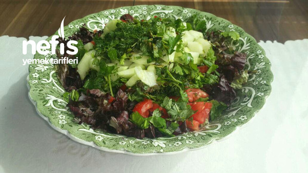 Lolorosso Kırmızı Marul Salatası