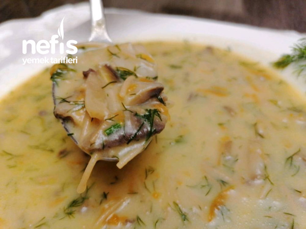 Bu Tarife Bayılacaksınız Nefis Sebzeli Mantar Çorbası Videolu