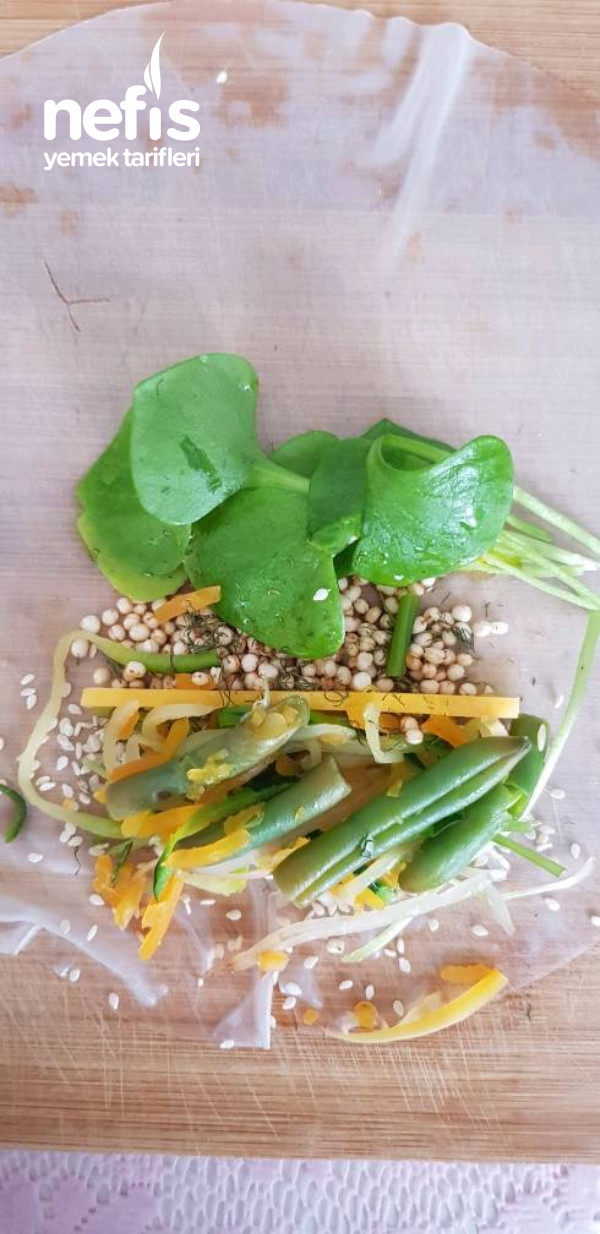 salata sarması – spring Riceroll