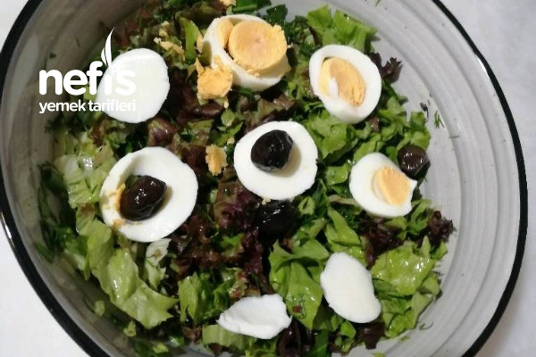 Kolajen Deposu Anne Sütü Artıran Nefis Yumurta Salatası