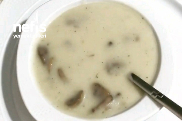 mantar-corbasi-sutlu.jpg