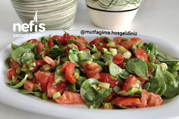 Ekşili Semizotu Salatası